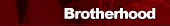 Learn about the BROTHERHOOD of Omega Delta Phi