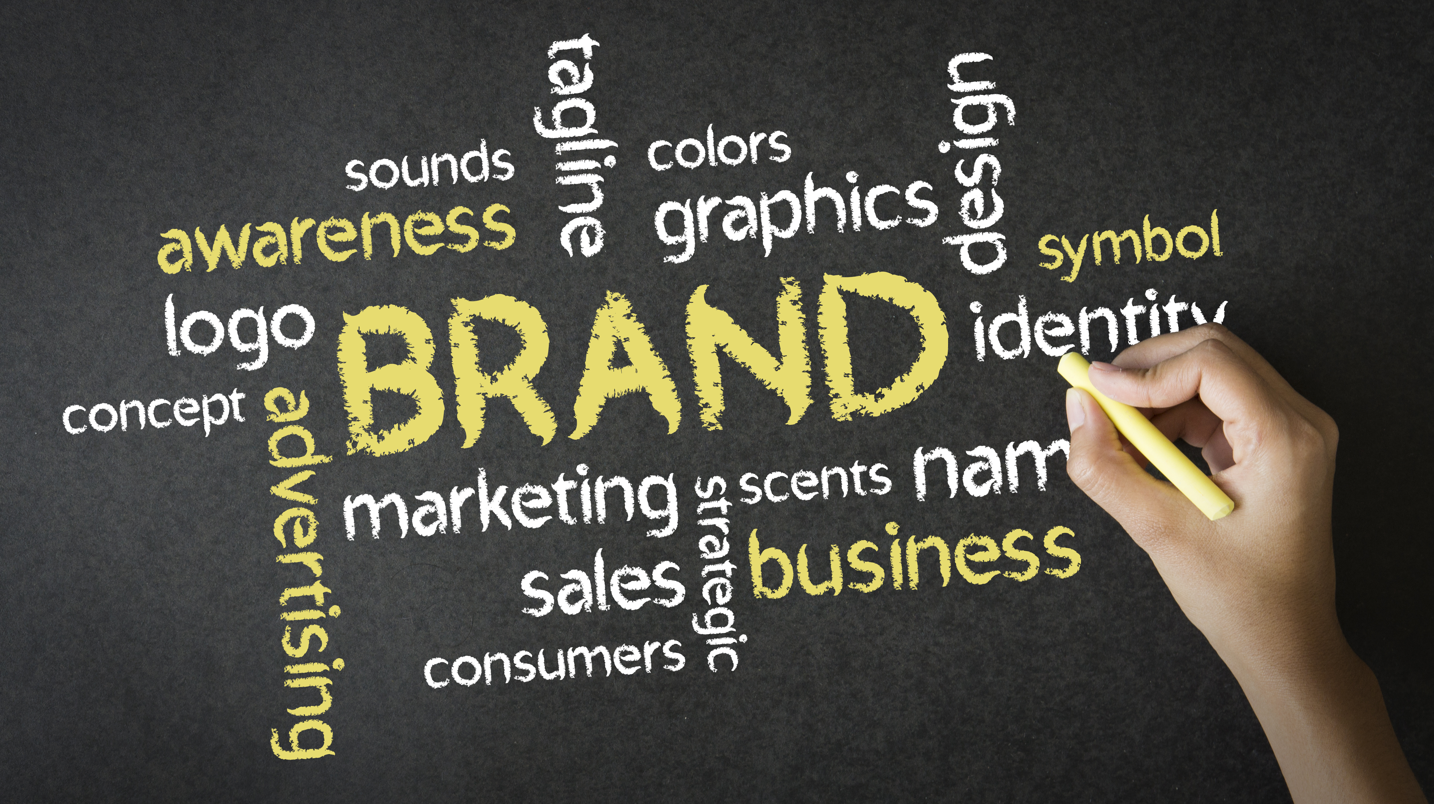 Marketing Team Announces New Brand Director