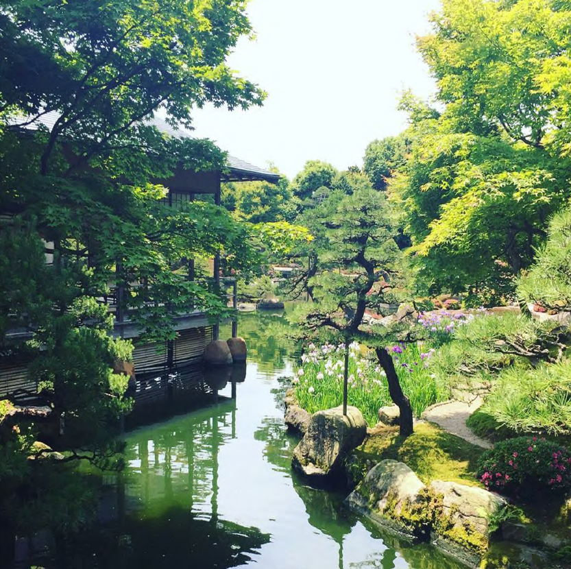 “Study Abroad In Japan” by Deionte Harve