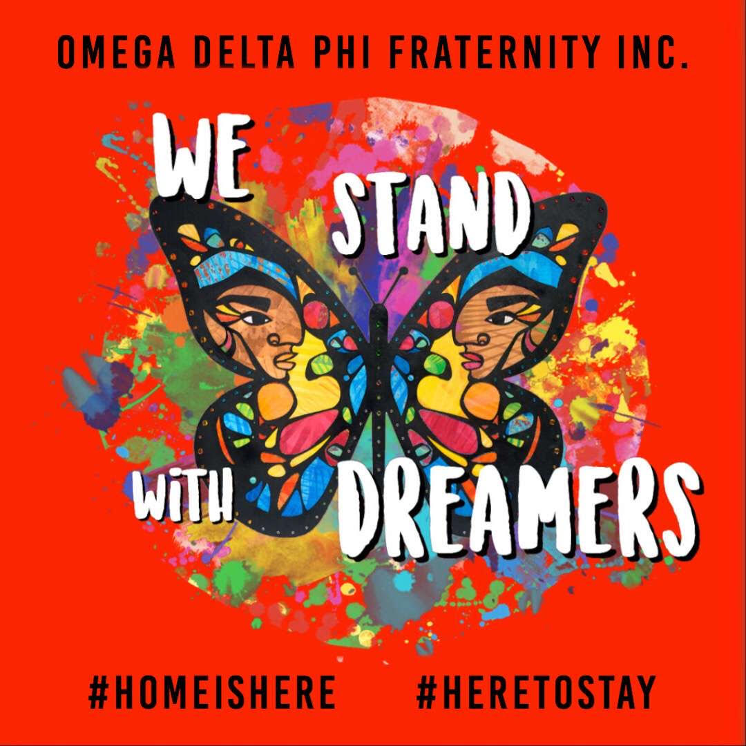 Knights Sound Off: DACA